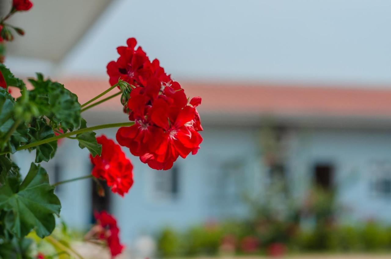 Central Palace Hotel Castro Dış mekan fotoğraf